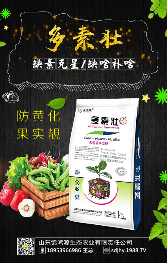 ���������緽������Щ������������Ҫ�c(di��n)�����ڹ�����