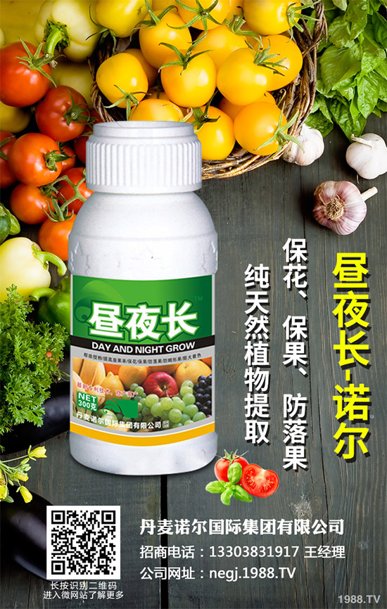 夏芹菜什么時(shí)候種植？該如何種植？夏芹菜高產(chǎn)種植技術(shù)