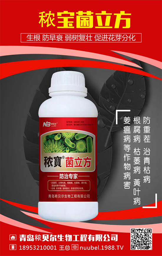 葫蘆怎么播種方法？葫蘆的播種方法及生長過程！