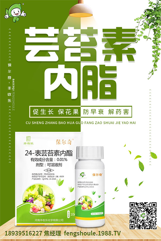 草珊瑚該怎么種植？如何種植能高產(chǎn)？草珊瑚高產(chǎn)種植技術(shù)