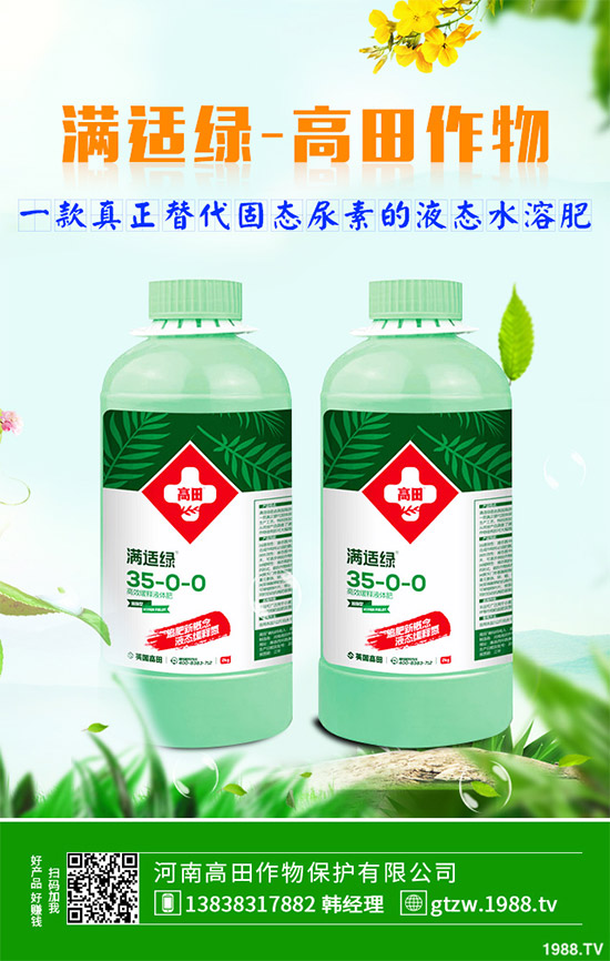 草珊瑚有哪些神奇功效？中藥材草珊瑚的作用及功效！