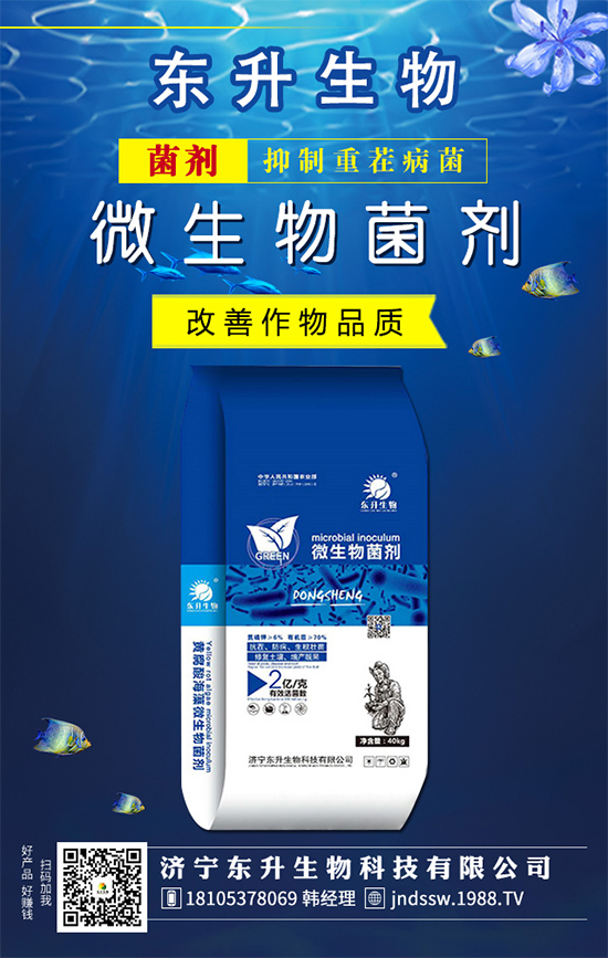 白掌的花語是什么？水培白掌的的養(yǎng)護方法！