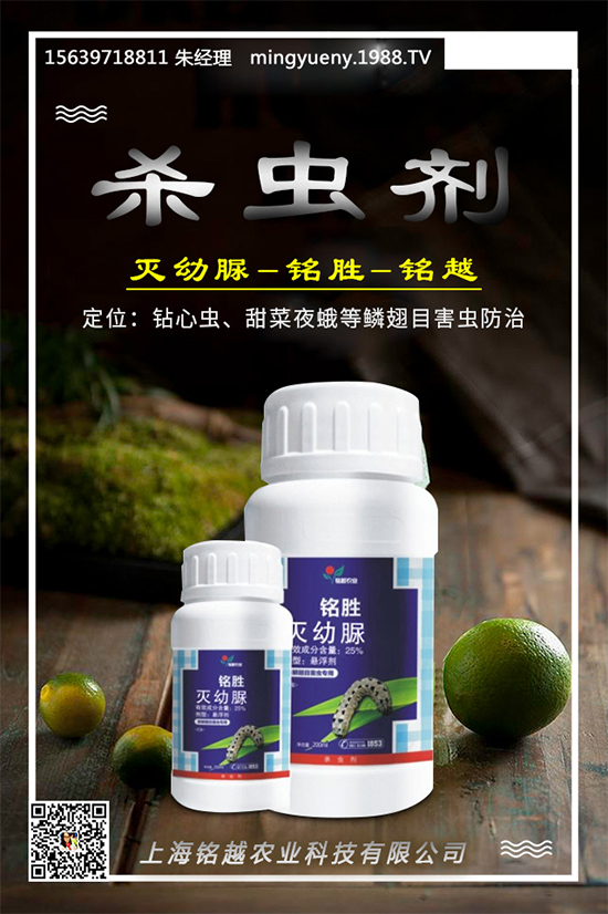 菜豆殺蟲(chóng)劑價(jià)格行情