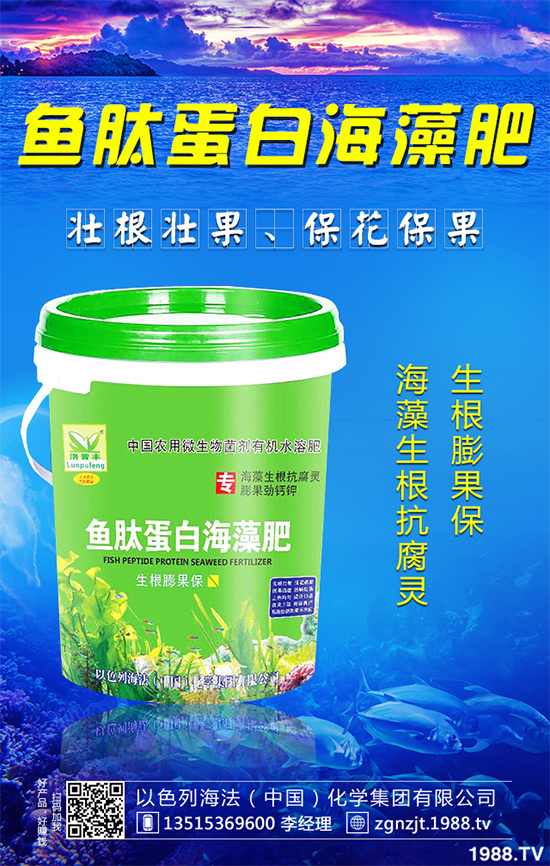 ���؃r(ji��)��