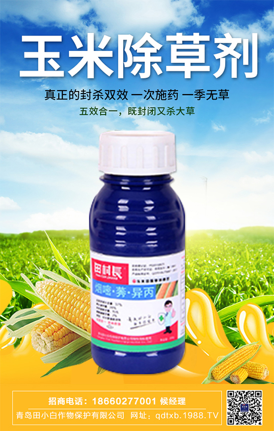 ���׷N�Ӱ�N��ʲô�������������ڹ���Ҫ�c��