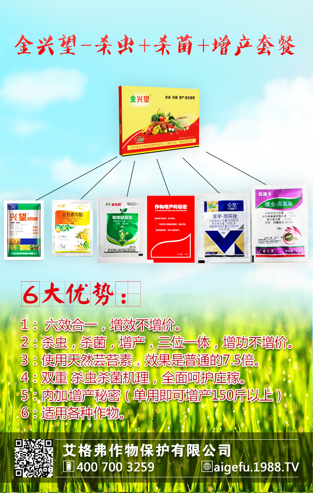 �������ﱣ�o���޹�˾5