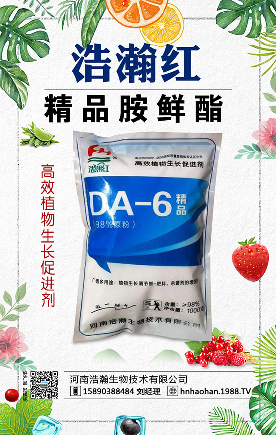 西紅柿摘葉常見誤區(qū)有哪些？西紅柿摘葉技巧！