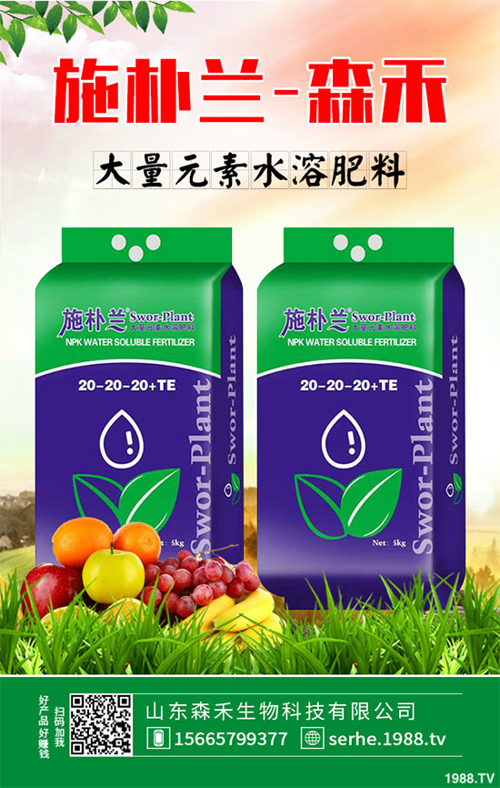 馬鈴薯價(jià)格不斷升高，能否繼續(xù)堅(jiān)挺？2020年馬鈴薯種植前景分析