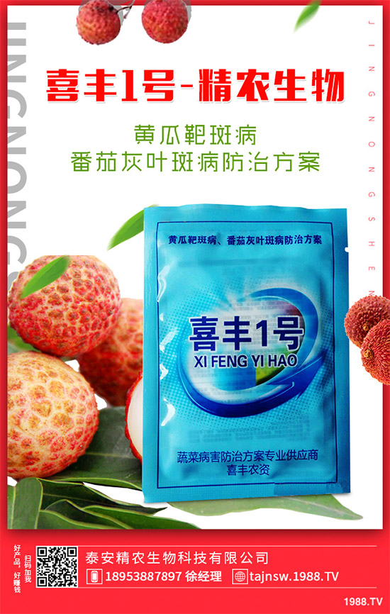 �V���X�ݷNֲ��Ҫ��Щ�l�����V���X��Ǥ������Ҫ�c��