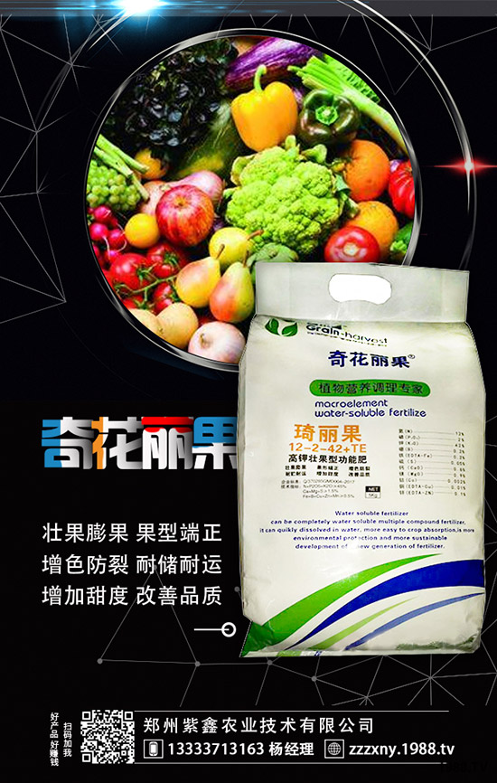 草莓母苗定植后怎樣施肥？怎樣澆水？