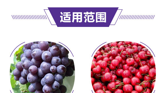 ��̼��(f��)�Ϸ���18-18-18-����Ԫ-���r(n��ng)��_06