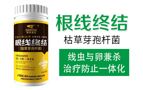 �ݲ�ѿ�ߗU��-�����K�Y(ji��)-(li��n)��μ�_02