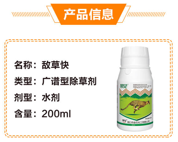 20%���ݿ�-��Ҋ-��ʯ����_03