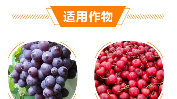 20%���ݿ�-��Ҋ-��ʯ����_07