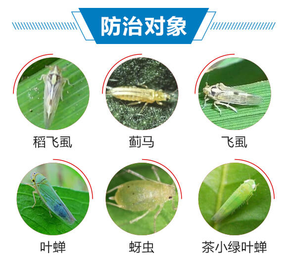 6%(li��n)�ա���x��-������-��������_03