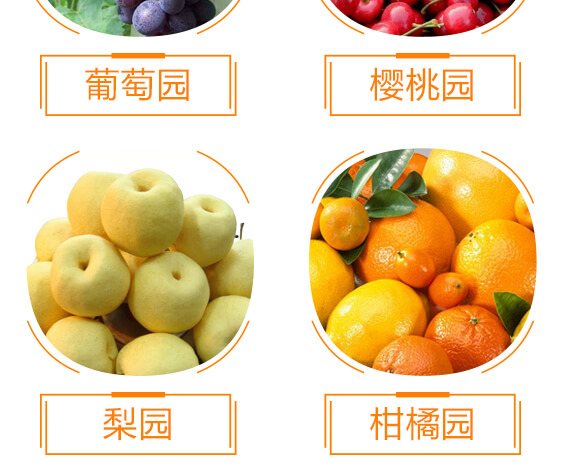 20%���ݿ�-��Ҋ-��ʯ����_08