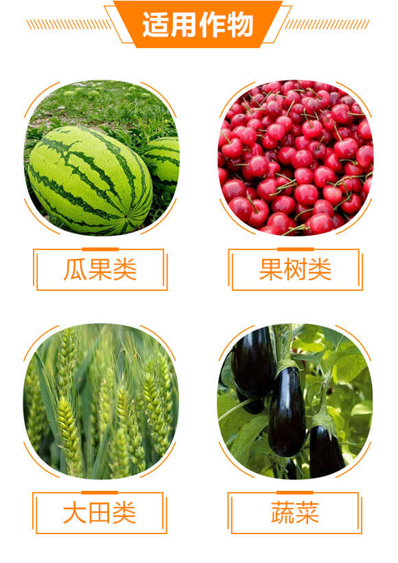 ΢�������-��̩��-��̩_05