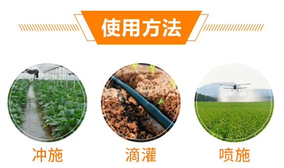 ����Ԫ��ˮ�ܷ���19-19-19+TE+C-�֠���(y��u)_04