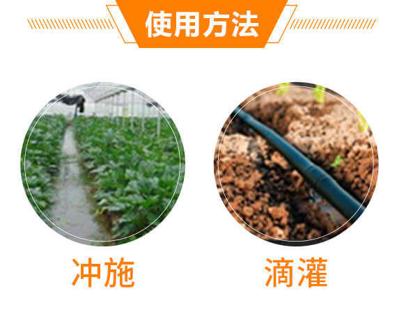 ΢�������-��̩��-��̩_06