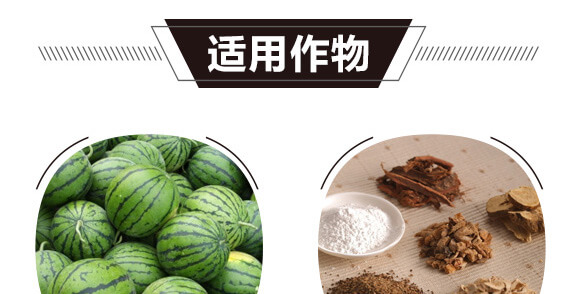 碳氫核肥-藍藻門-碳氫國際_05