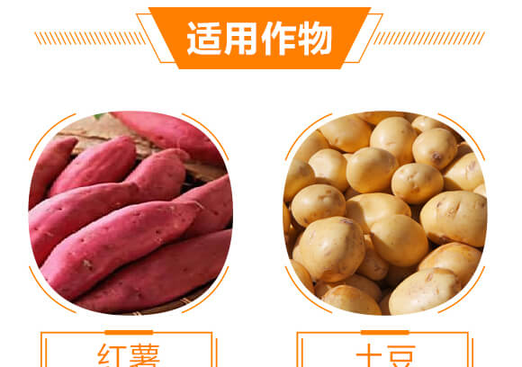 ��������-������-��������_08