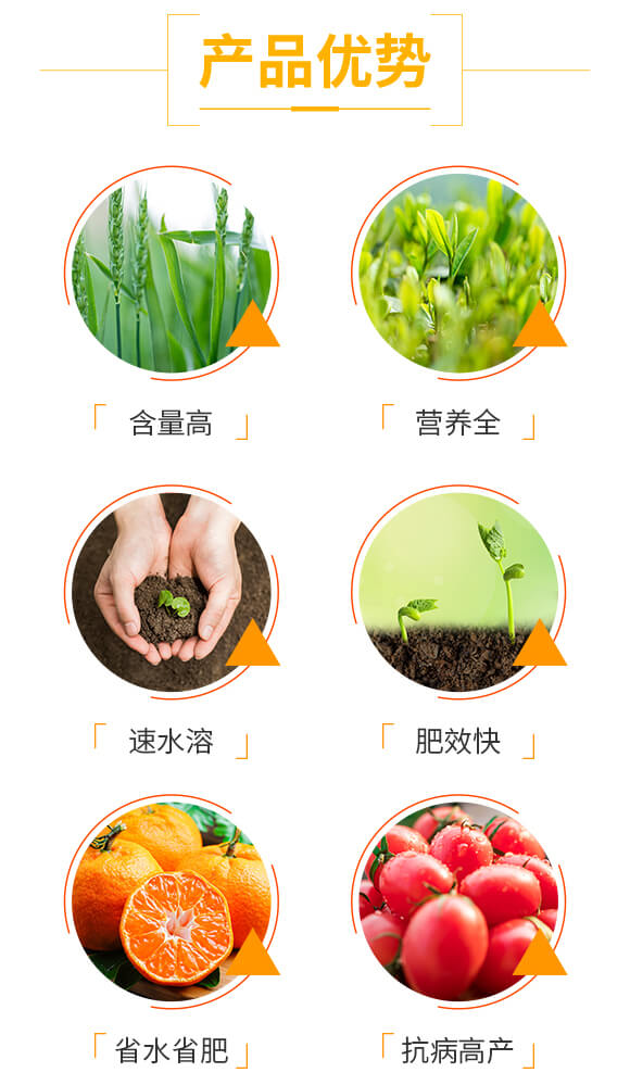 ���}�V��΢��Ԫ�ط�-ʩ��ɭ-��ɭ��_03