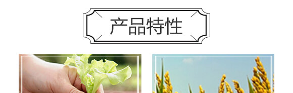 黃腐酸生物有機肥料-小黑力-農(nóng)佳一_05