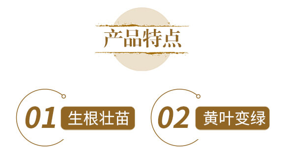 ��ˎ�ĠI(y��ng)�B(y��ng)���a(b��)-����ֲ��ˮ�ܷ�-�����r(n��ng)��_05