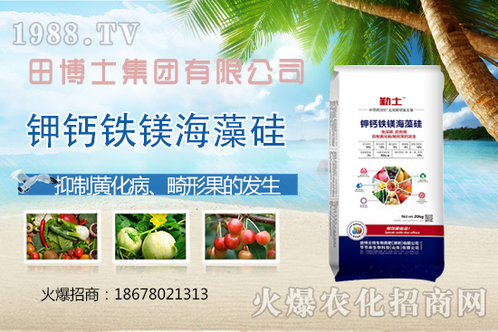 �����ز���a����ЩӰ�����ν�Q�����ز熖�}��