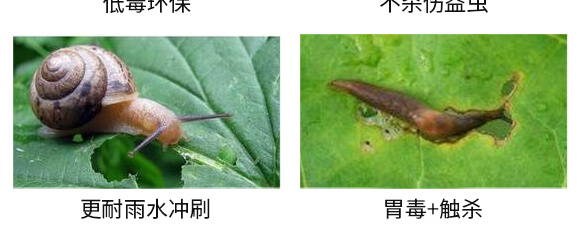 10%�ľ���ȩ��1000�ˣ�-����-�P�Z����_05