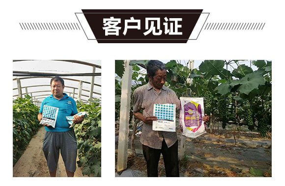 ��⛶���-һ����-�̩_06