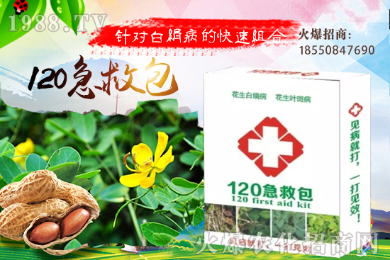 �S�ϼ޽���ʲô��̎����������S�ϼ޽�����