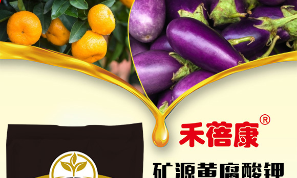 �VԴ�S�����-������-����1