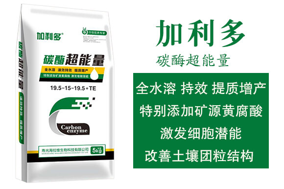 ̼ø������-������-�����S_02