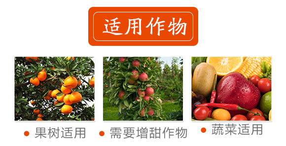 �t֮��-�|����-������_05