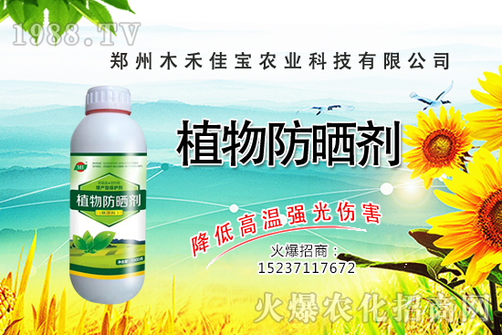 芽苗菜種植前景怎么樣，芽苗菜種植技術(shù)有哪些？