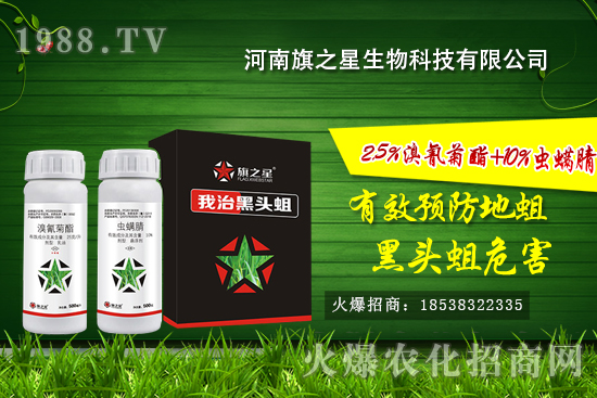 ʲô�Ǿ����������l(f��)��Ҏ(gu��)���������o(w��)�������η�����