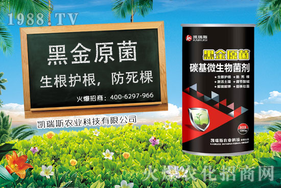     ����ʲô�r����������׵��ի@�r�������׵ĠI�B(y��ng)�rֵ��