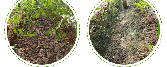 �r(n��ng)��ڈ@���＼�g(sh��)���޹�˾_08