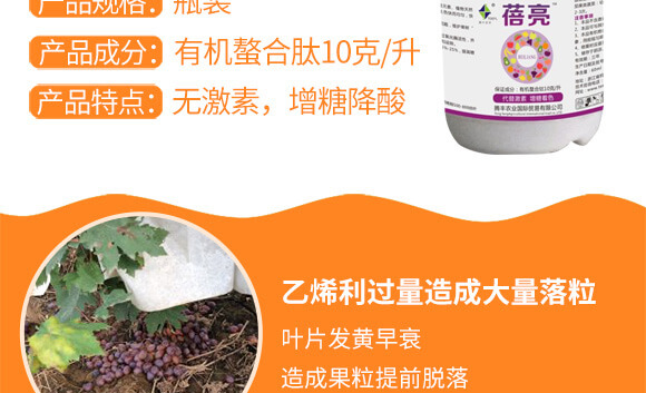 河南騰豐農業(yè)科技有限公司_03