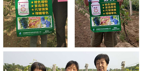 河南騰豐農業(yè)科技有限公司_07