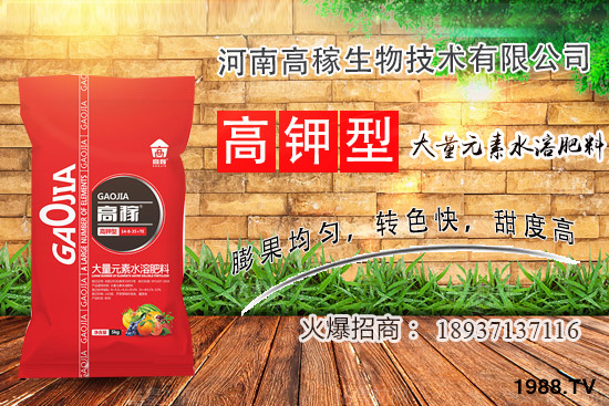 小香蔥種植環(huán)境有什么要求？夏季種植小香蔥的技巧！