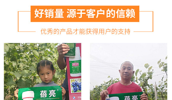 河南騰豐農業(yè)科技有限公司_06