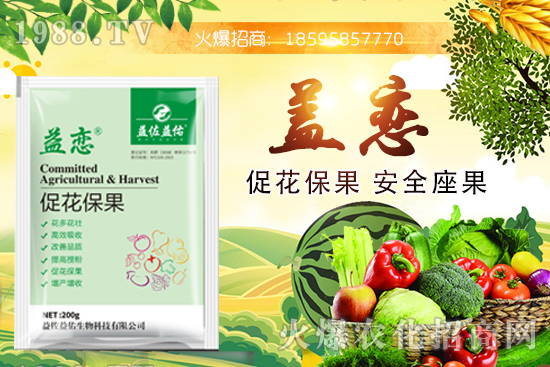 ��֦�ĠI(y��ng)�B(y��ng)�ɷ�����Щ����֦�ܶ�Ԇ᣿�����m����Ⱥ��