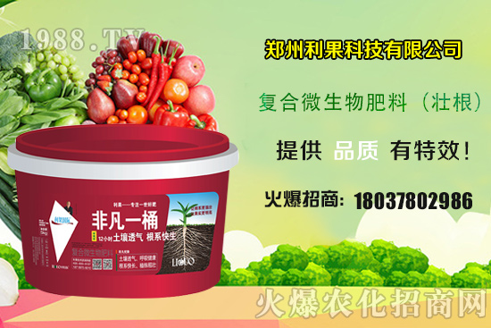 2020年種植辣椒賺錢嗎？種植前景如何？辣椒一畝地產(chǎn)量有多少？