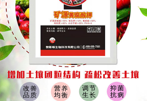 �VԴ�S�����-�W˹�D_02