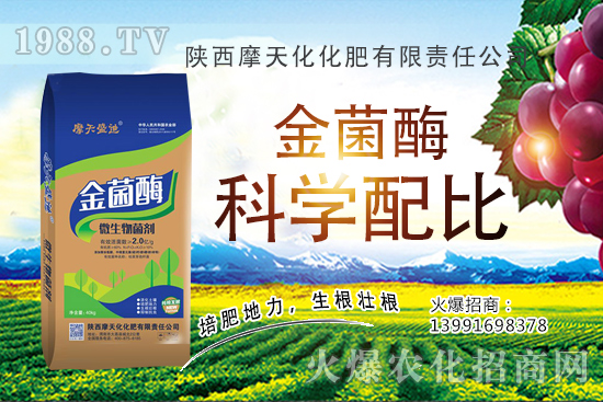 �Nһ���O���ĳɱ��Ƕ��٣��ж����������O���Nֲ���g�c������