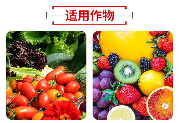 ɽ�|��(j��)����W(w��ng)(li��n)�䷽�����޹�˾�a(ch��n)ƷԔ���(y��)1_05