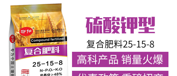 ������͏�(f��)�Ϸ���25-14-6-���_04