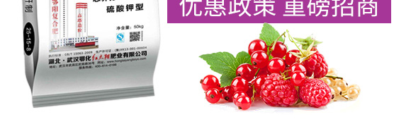 ������͏�(f��)�Ϸ���25-14-6-���_05